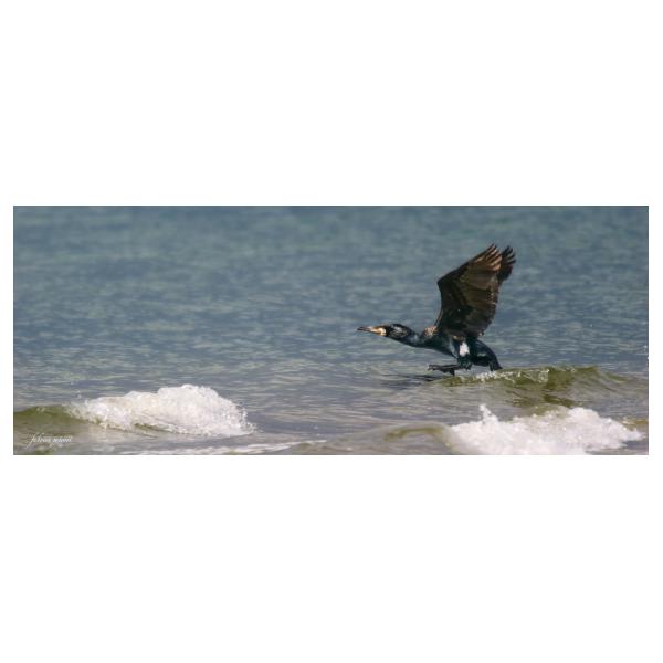 PHOTO84, CLUB, 84 , LUBERON